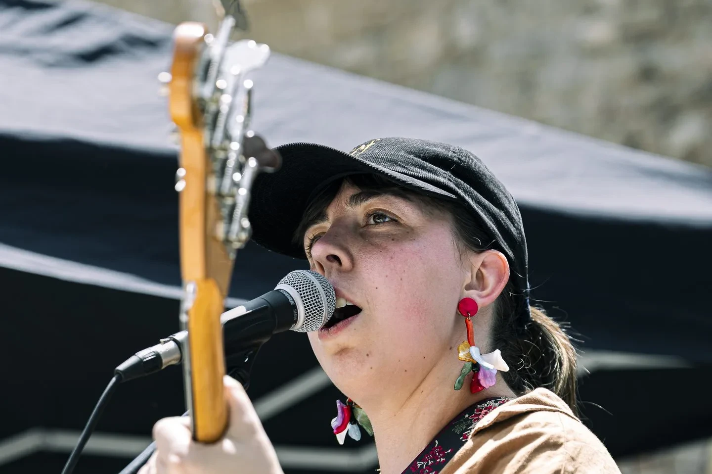 Live concert performance at a festival